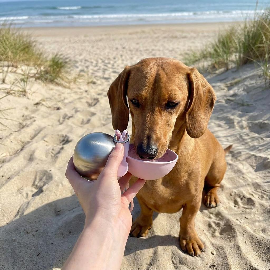 Petnello™ 2-in-1 Portable Dog Water Bottle
