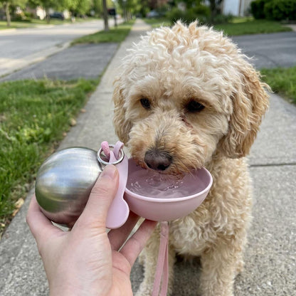 Petnello™ 2-in-1 Portable Dog Water Bottle